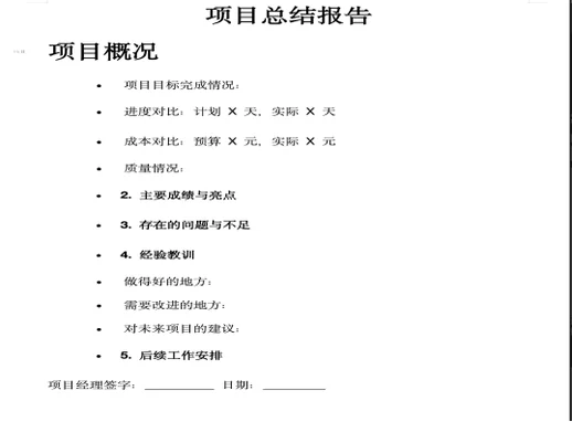 项目总结报告